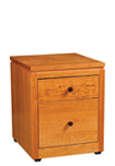 two drawer rolling file